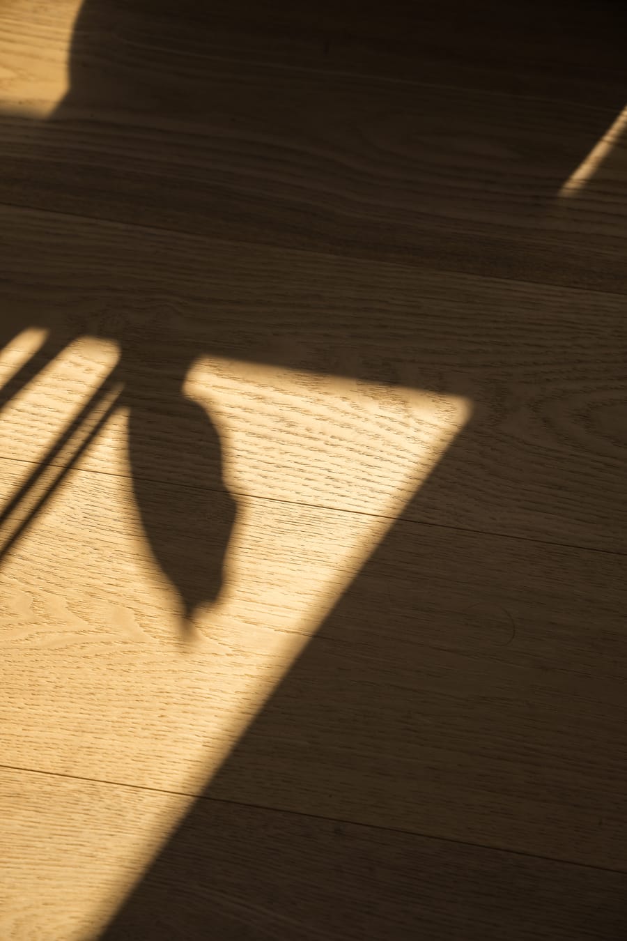 Afternoon light and shadow across a white oak floor