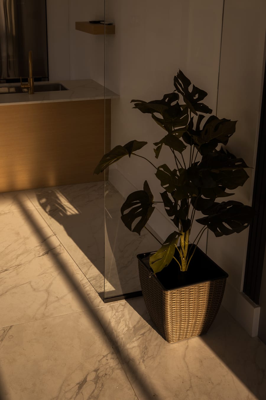 Afternoon light through a monstera leaf onto a marble floor