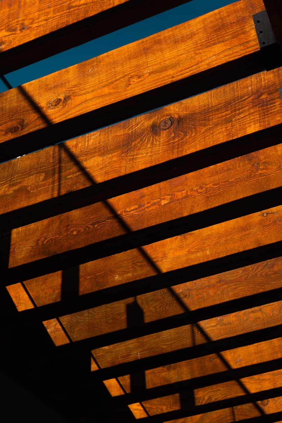 Cedar slats of the terrace canopy against the sky