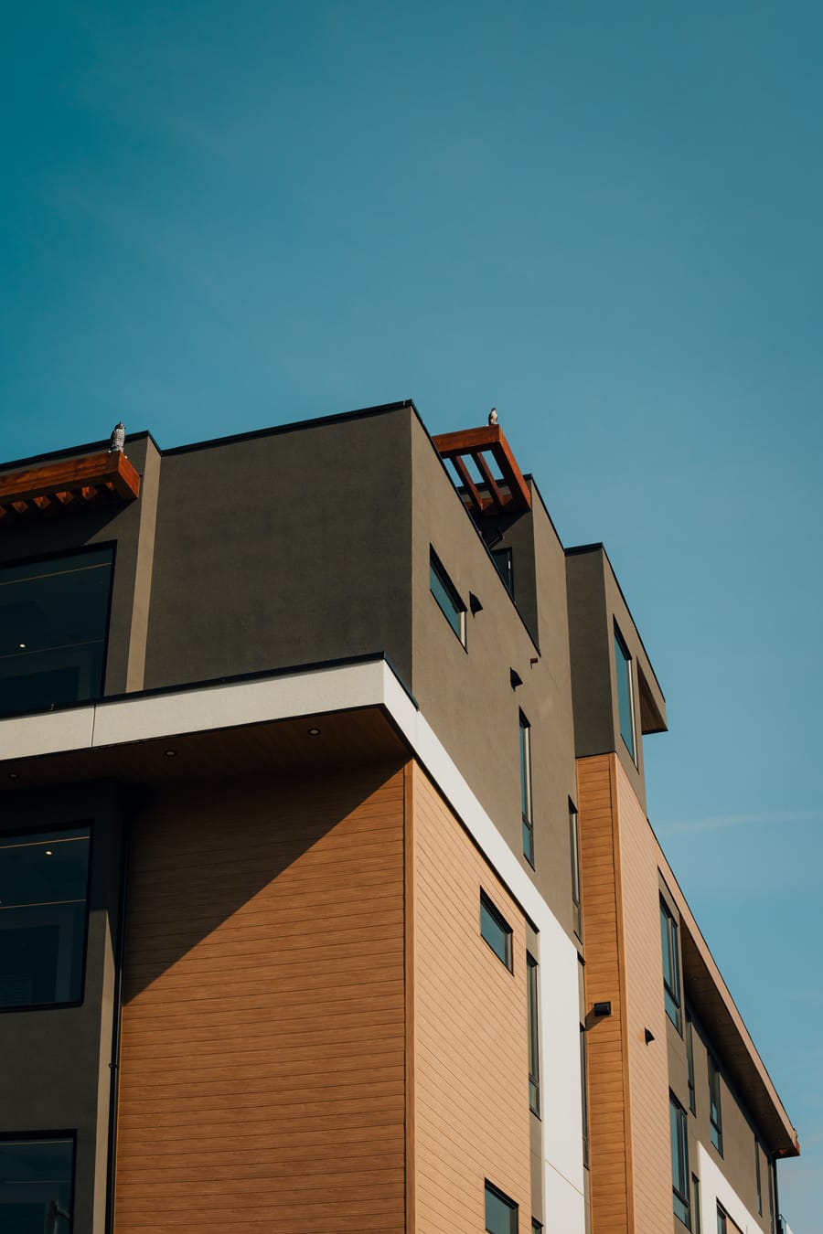 Close view of the timber-look cladding and window returns on Legacy on Lakeshore